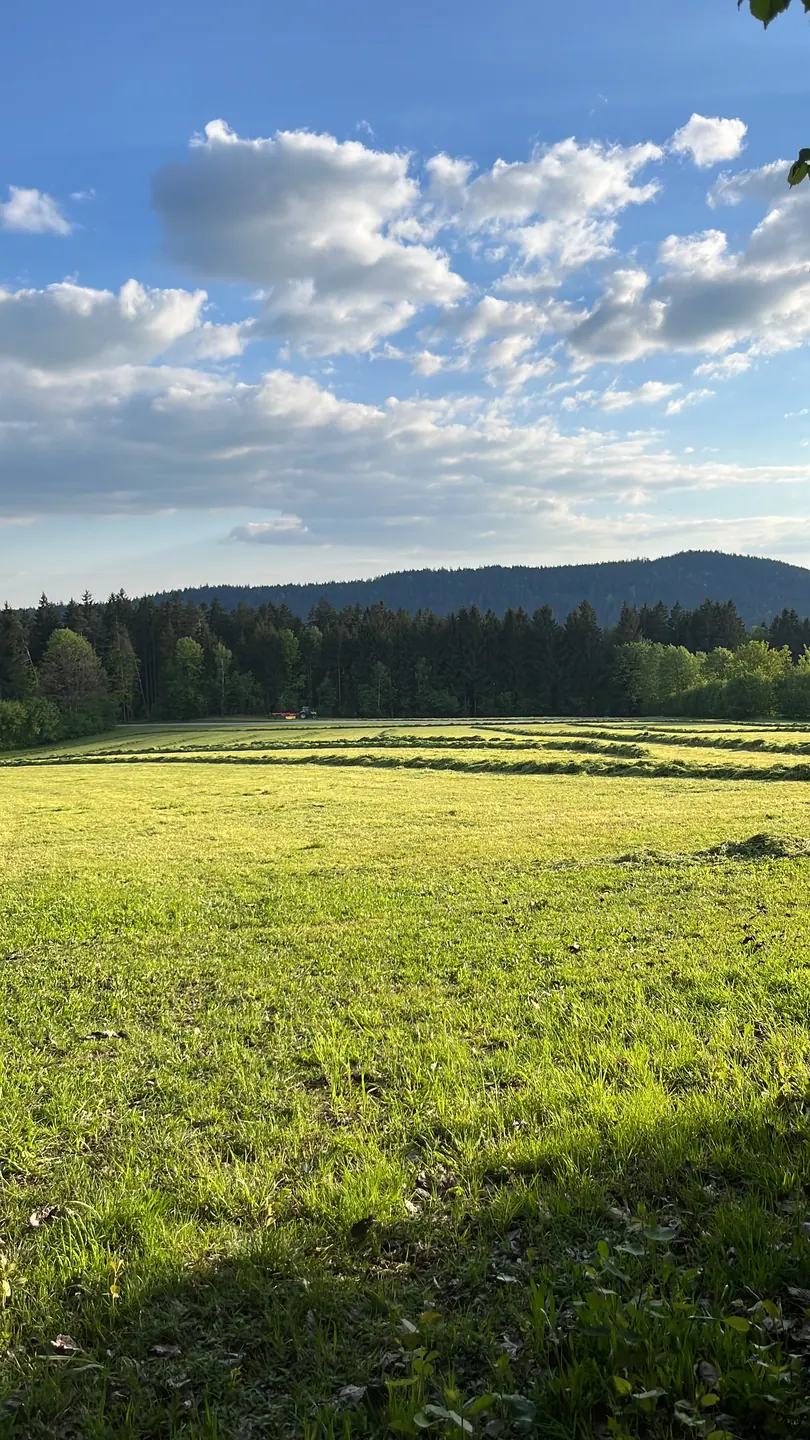 Blick über Wiesen und Wälder